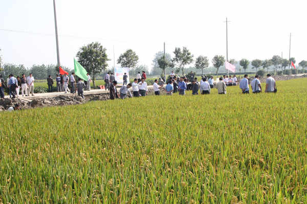 觀摩現(xiàn)場(chǎng)（興化市海南鎮(zhèn)蔡高村）